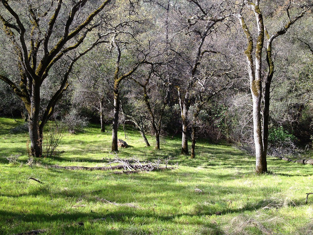 Hidden Falls waterfall