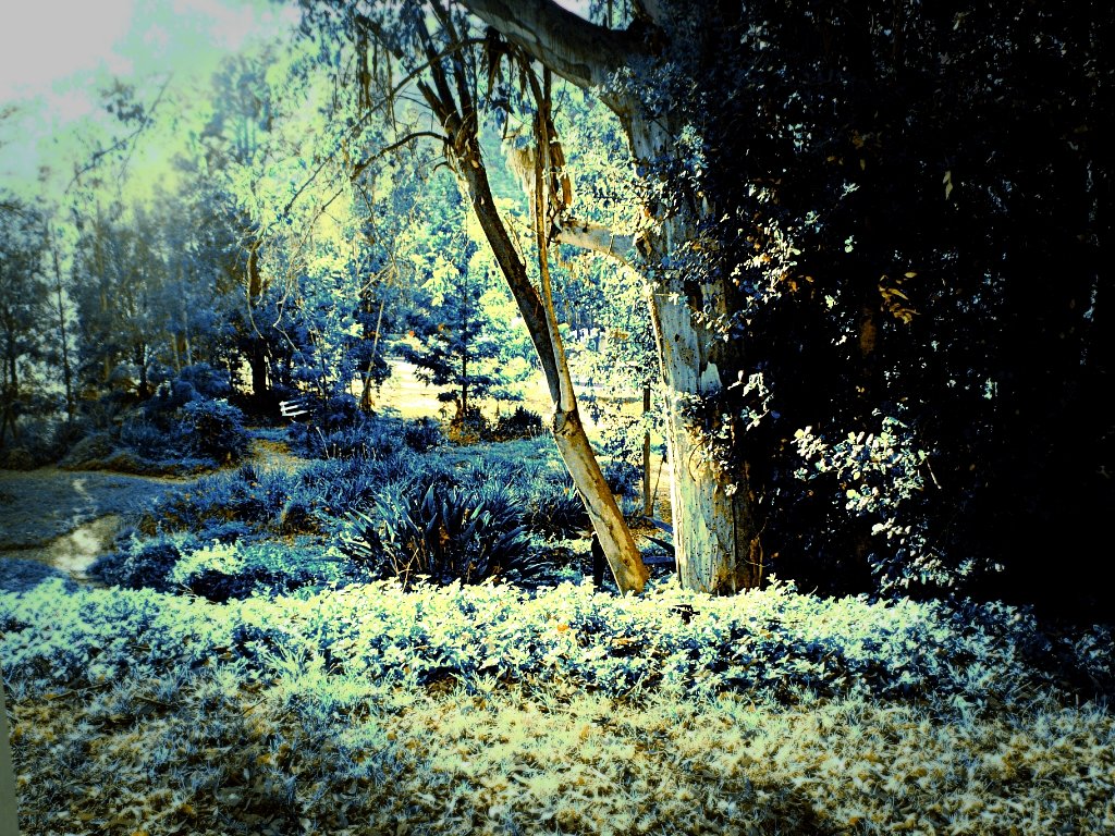 Hidden Heart Falls waterfall