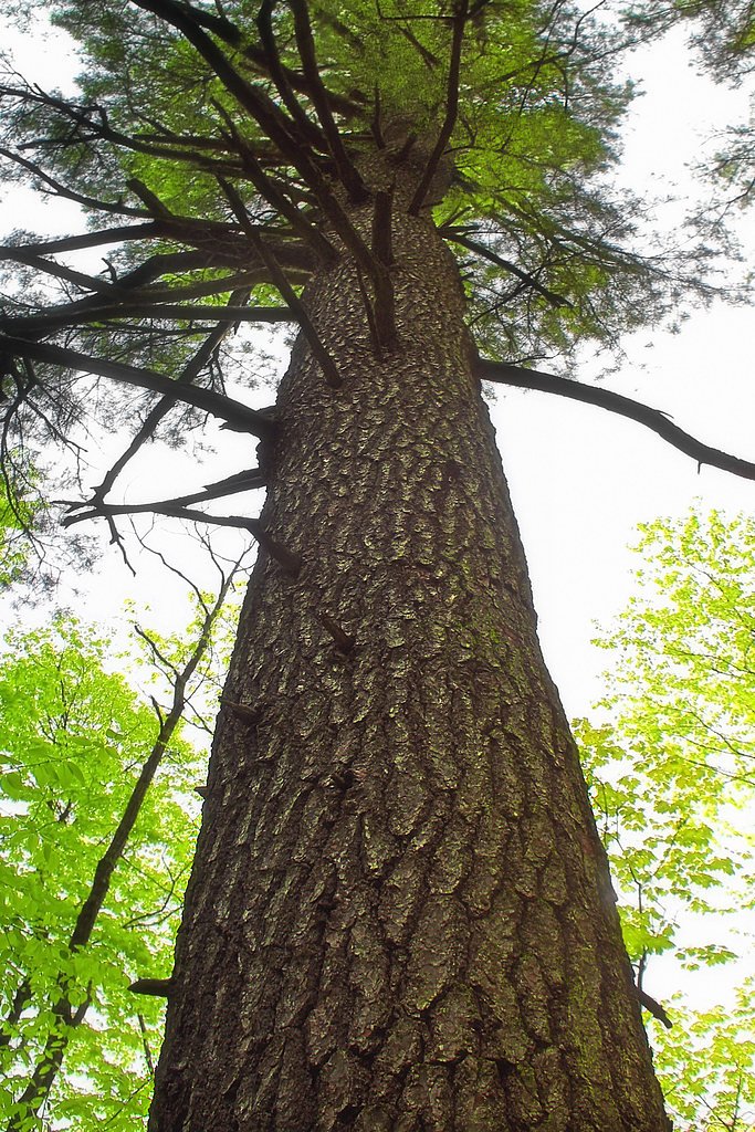High Falls waterfall
