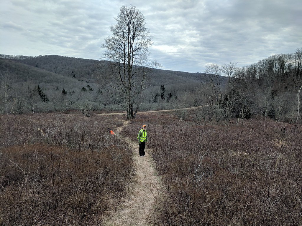 High Falls waterfall