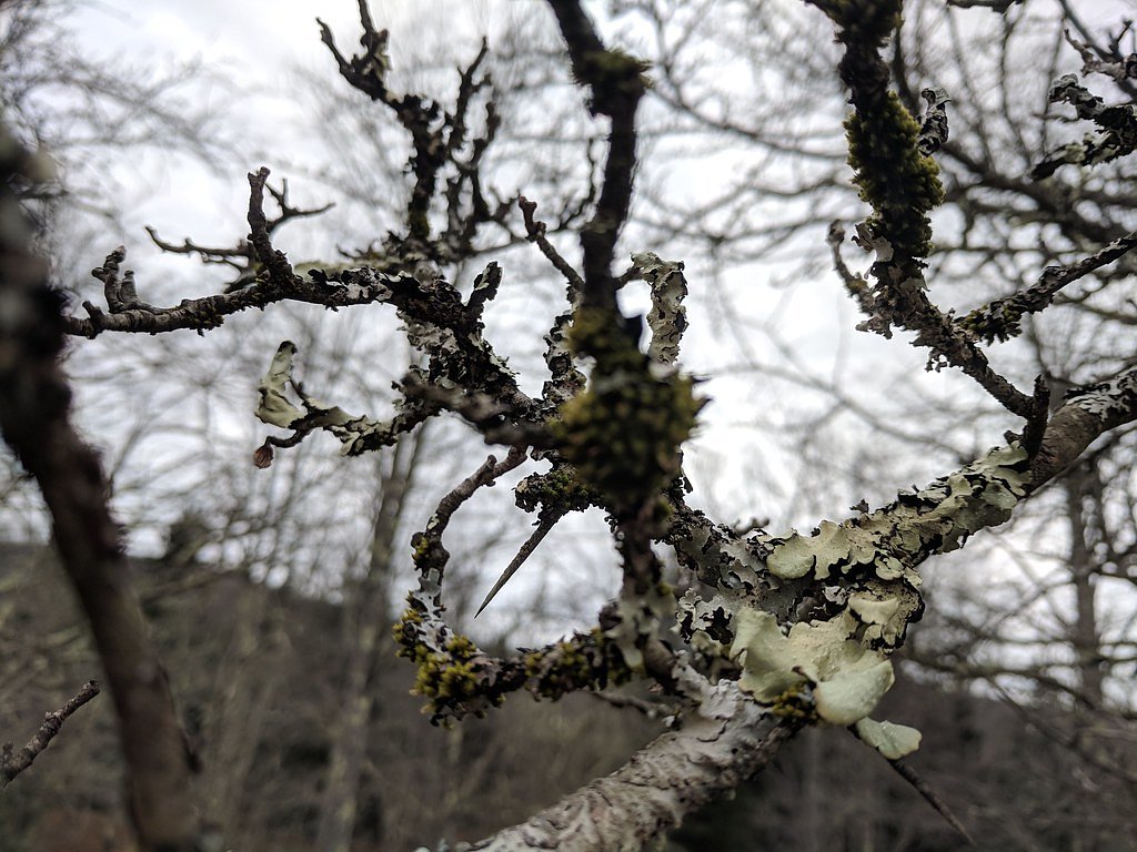 High Falls waterfall