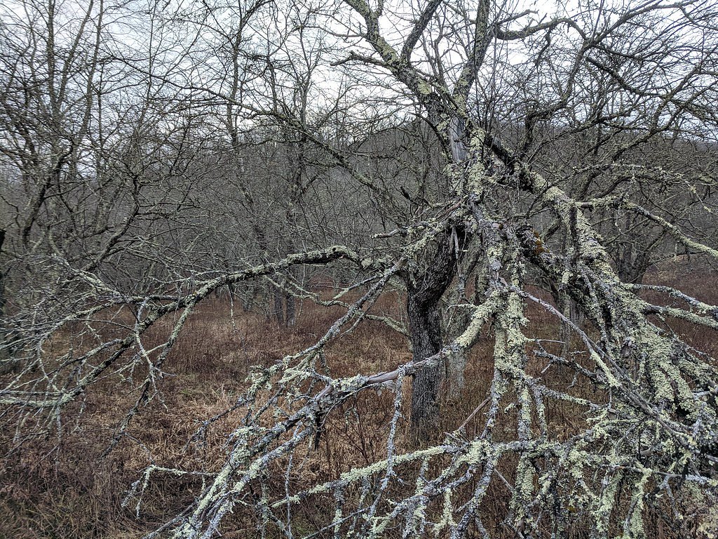 High Falls waterfall