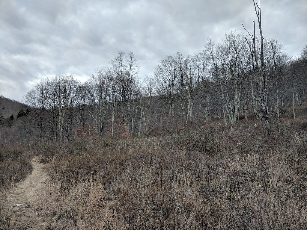 High Falls waterfall