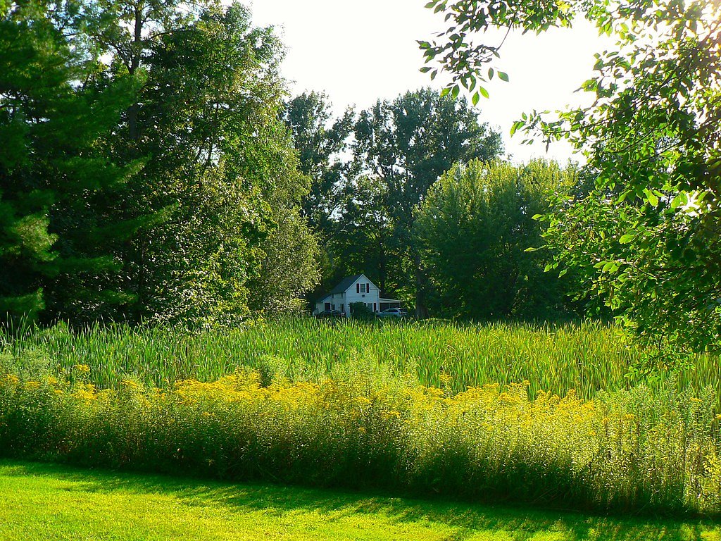 Highgate Falls waterfall