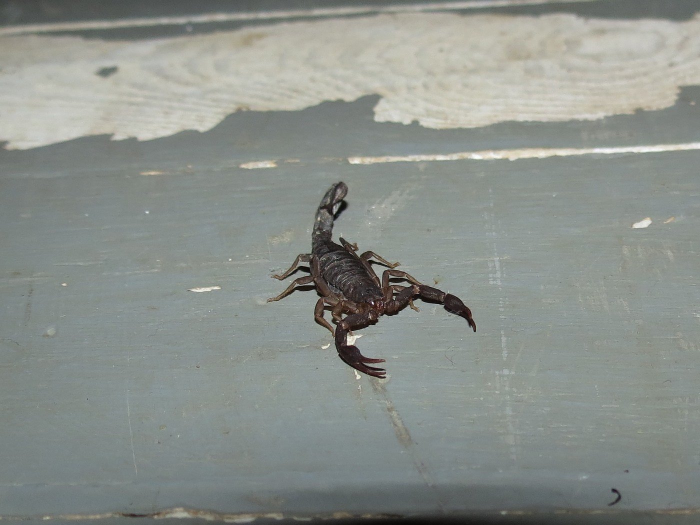 Hightower Falls waterfall