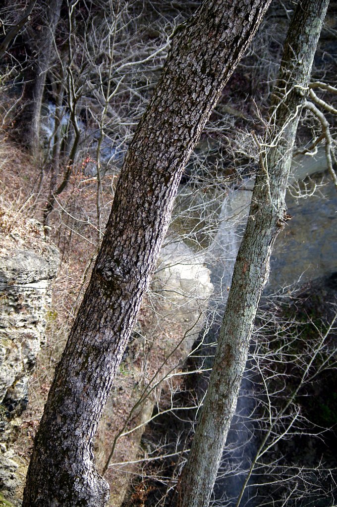 Hoffman Falls waterfall