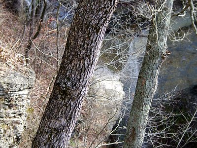 Hoffman Falls, IN