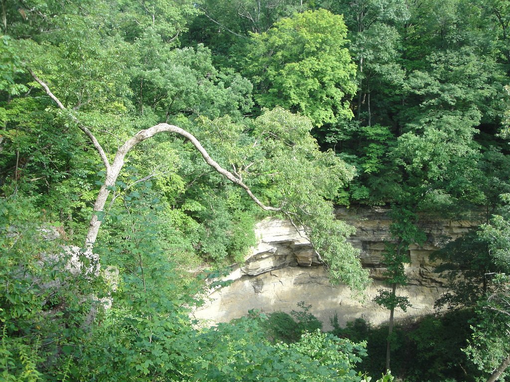 Hoffman Falls waterfall