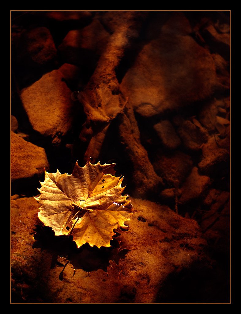 Honeoye Falls waterfall