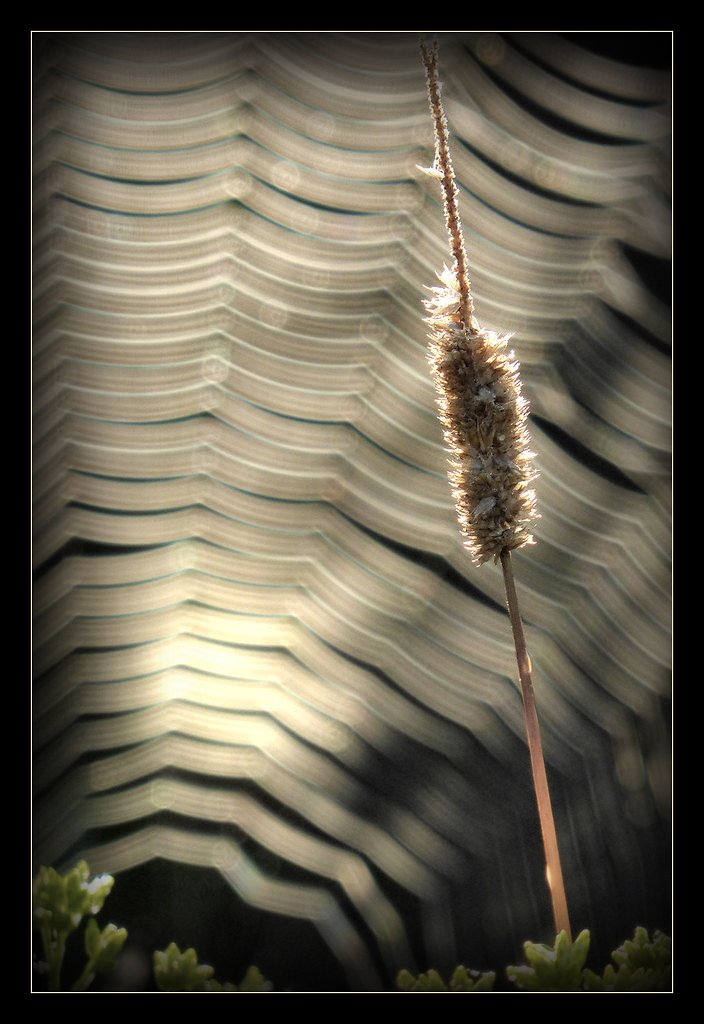Honeoye Falls waterfall