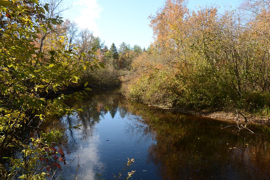 Horseshoe Falls waterfall