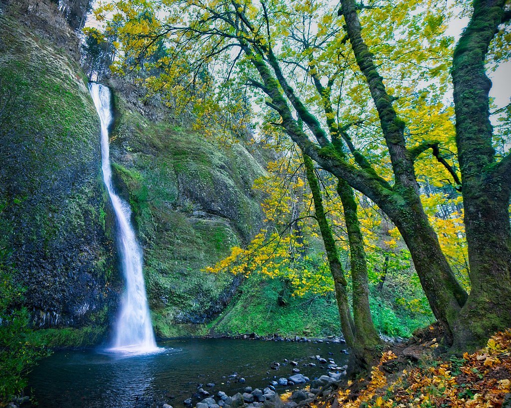 Horseshoe Falls waterfall