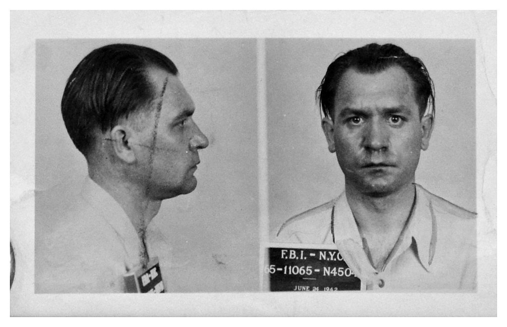 Horseshoe Falls waterfall