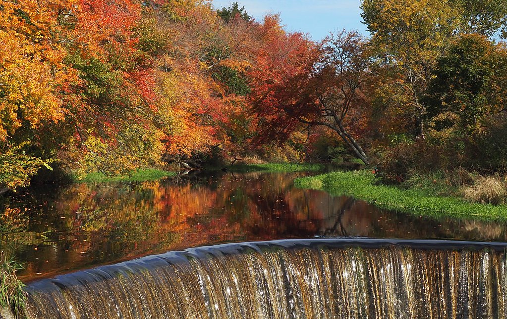 Horseshoe Falls waterfall