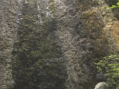 Horsetail Falls