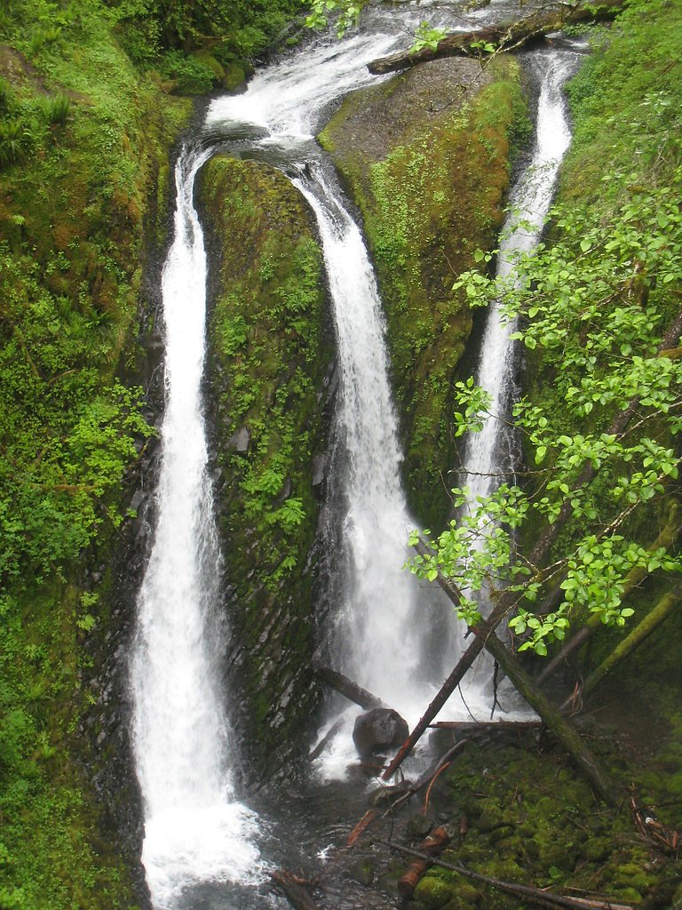 Horsetail Falls waterfall