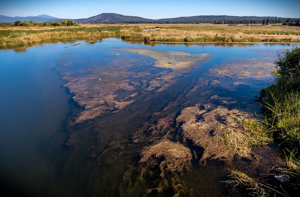 Hunter Falls waterfall