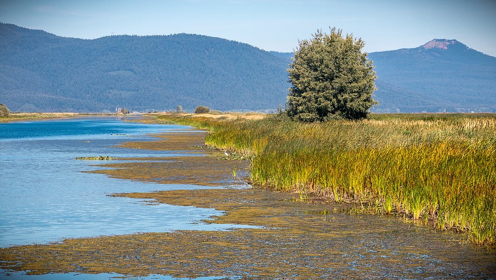 Hunter Falls waterfall