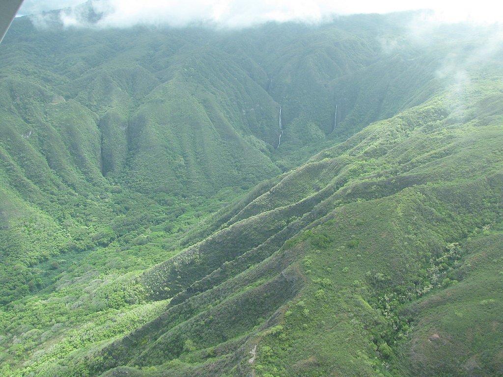 Hīpuapua Falls waterfall