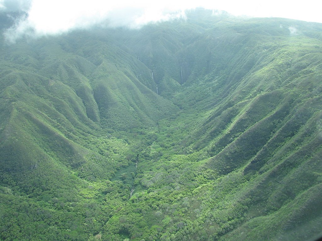Hīpuapua Falls waterfall