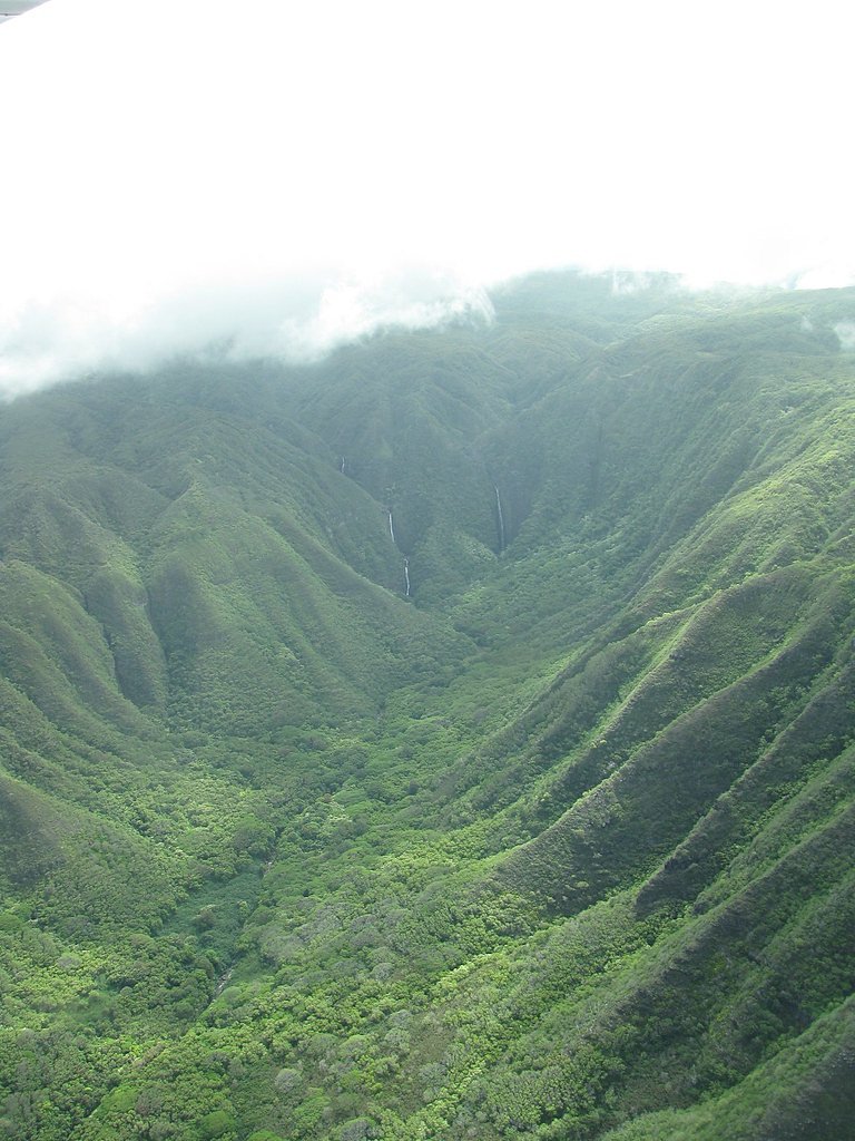 Hīpuapua Falls waterfall
