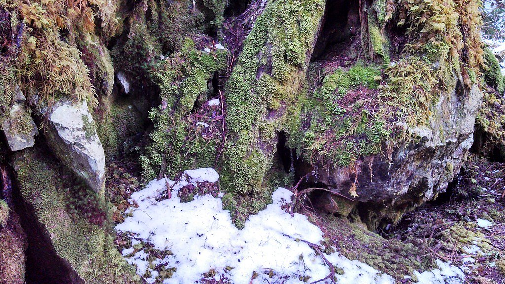 Ipsut Falls waterfall