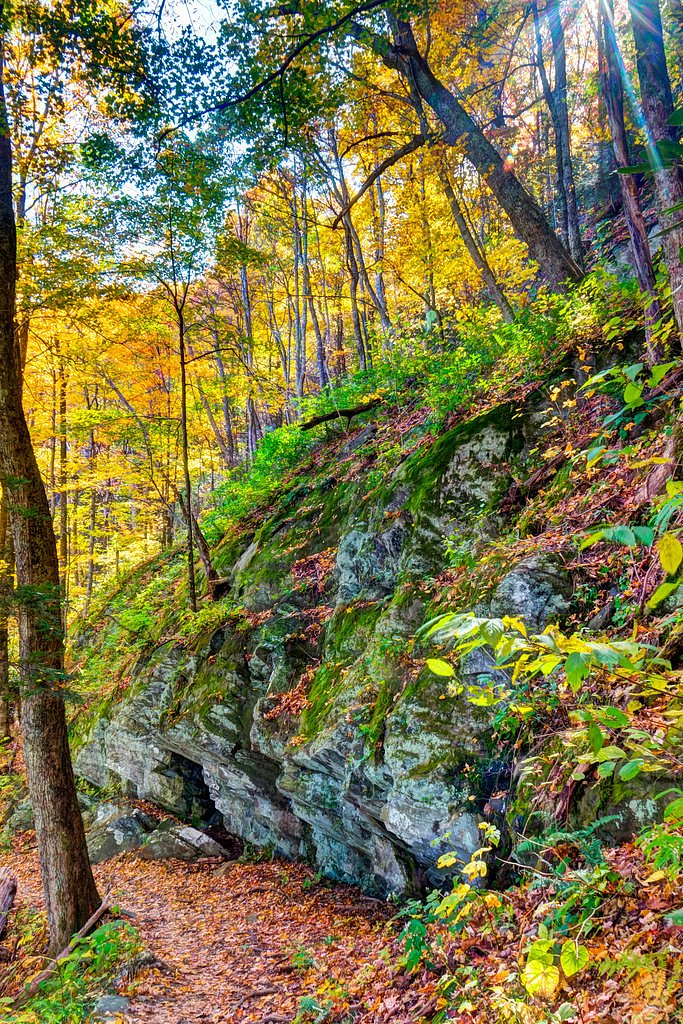 Jenkins Falls waterfall