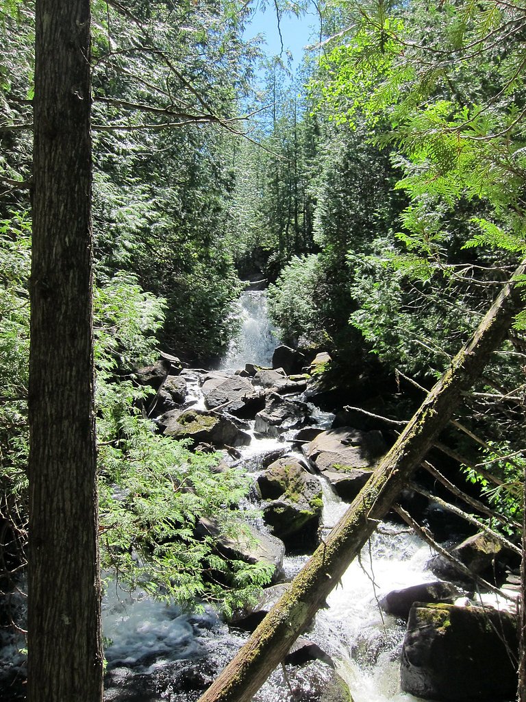Johnson Falls waterfall