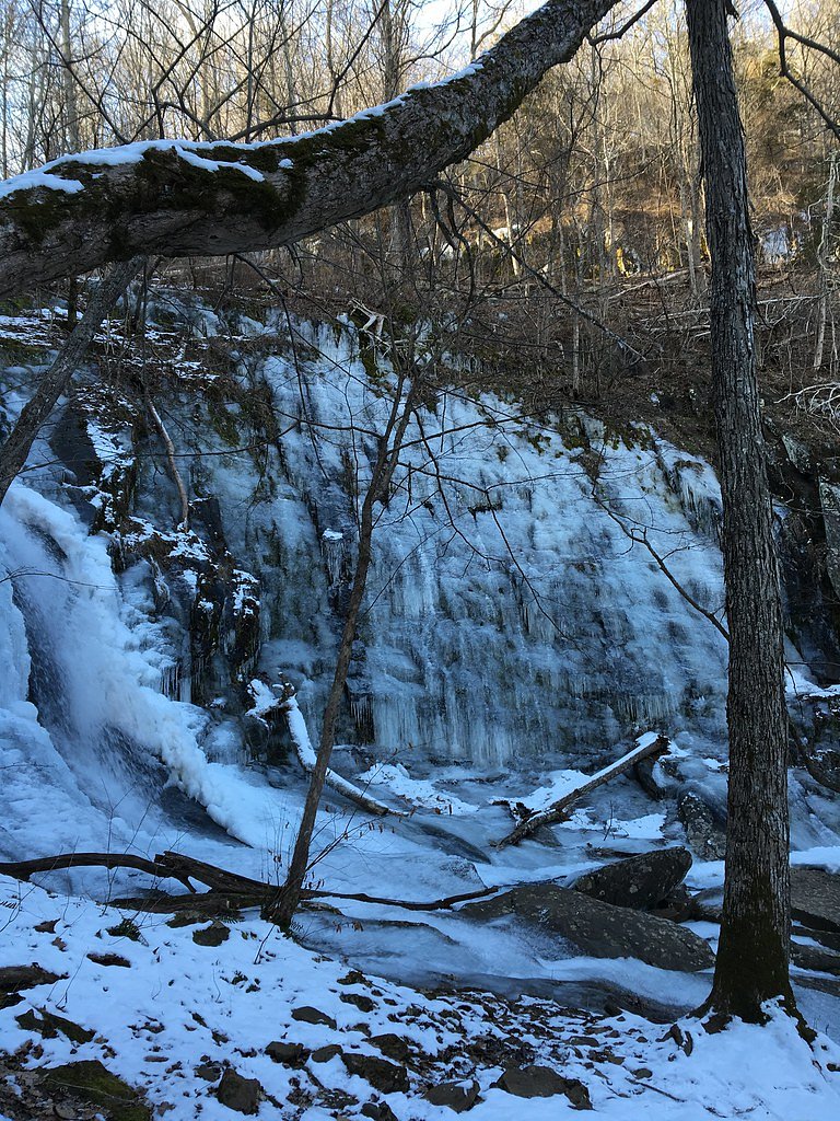 Jones Run Falls waterfall