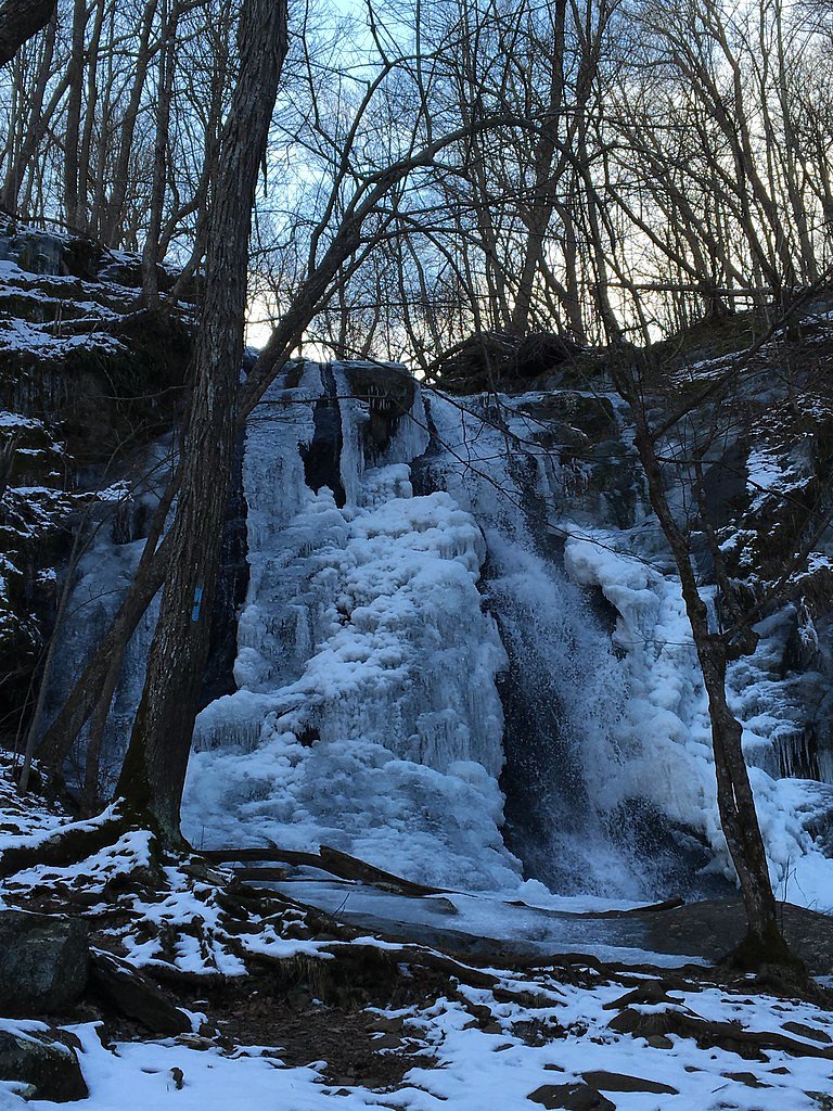 Jones Run Falls waterfall