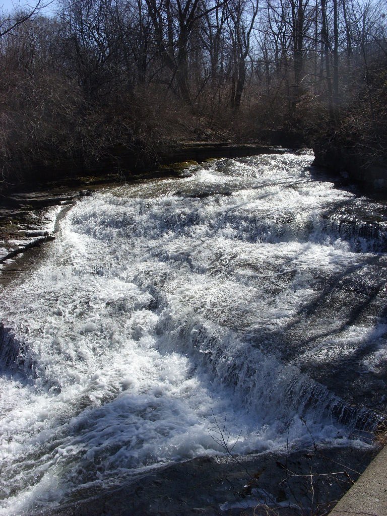 Judds Falls waterfall