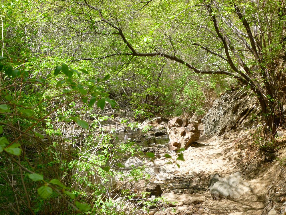 Jump Creek Falls waterfall
