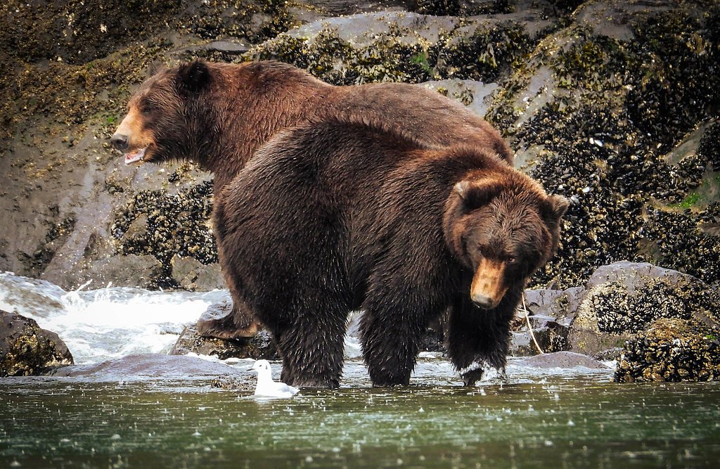 Kasnyku Falls waterfall