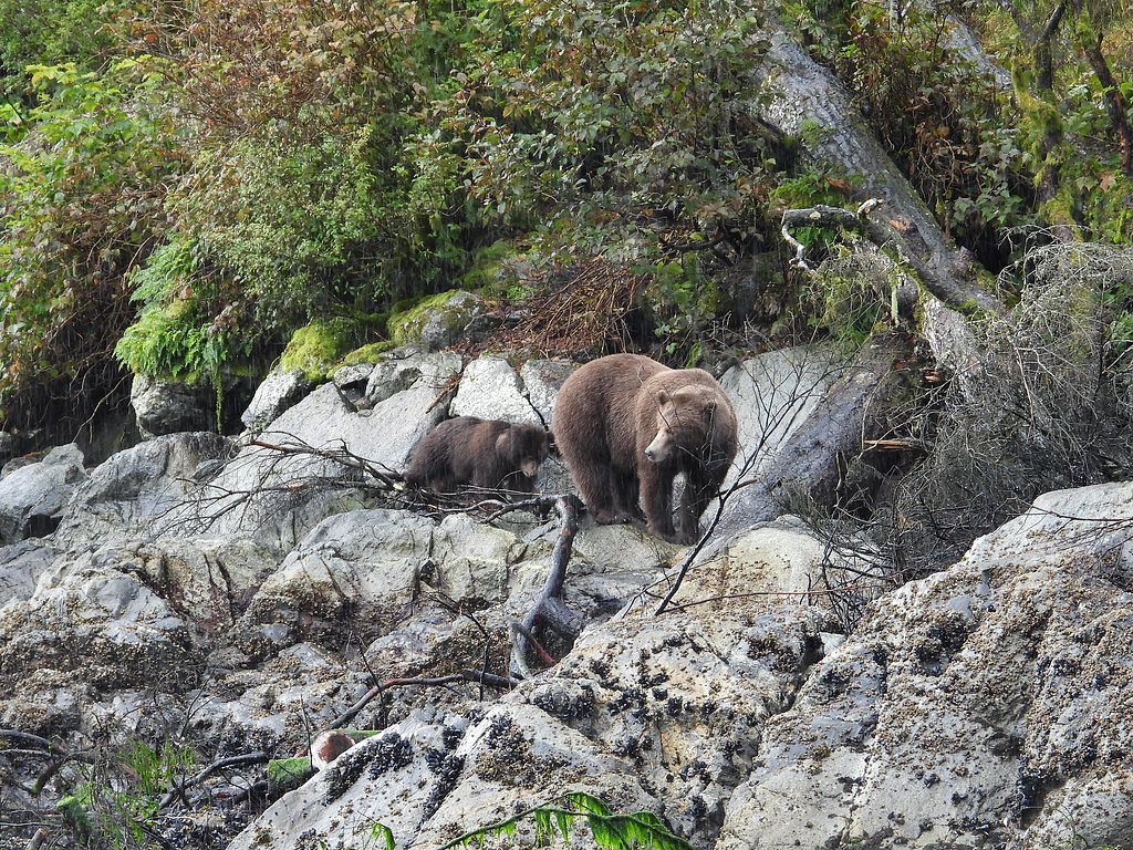 Kasnyku Falls waterfall
