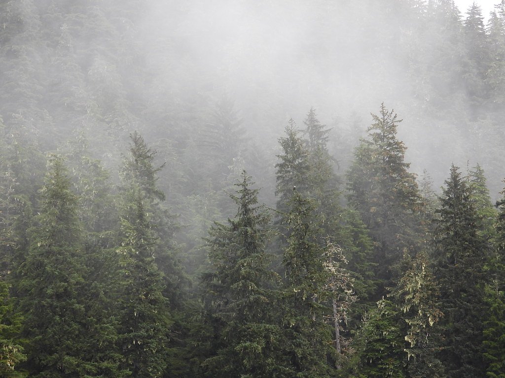 Kasnyku Falls waterfall