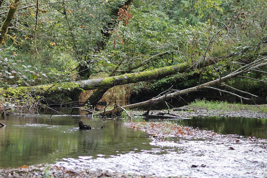 Kennedy Falls waterfall