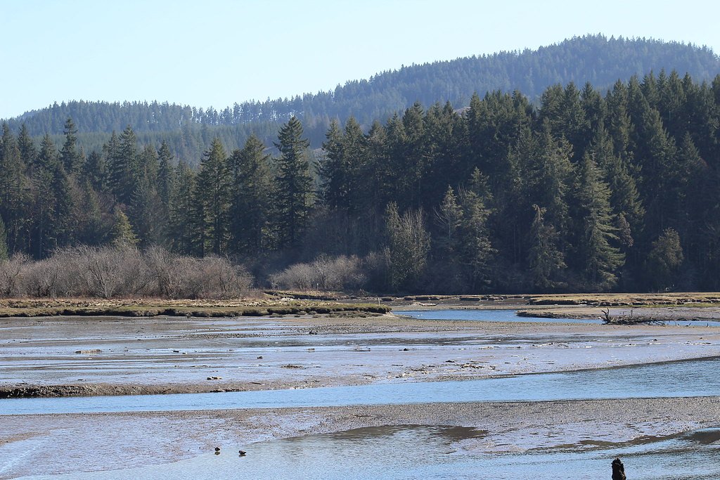 Kennedy Falls waterfall