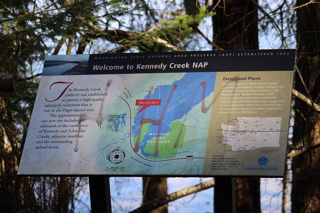 Kennedy Falls waterfall