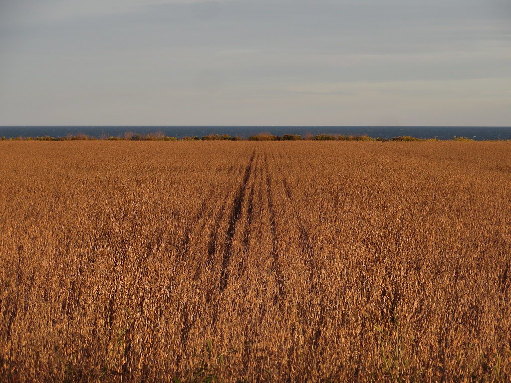 Kent Falls waterfall