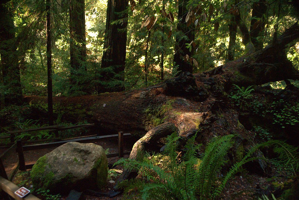 Kent Falls waterfall