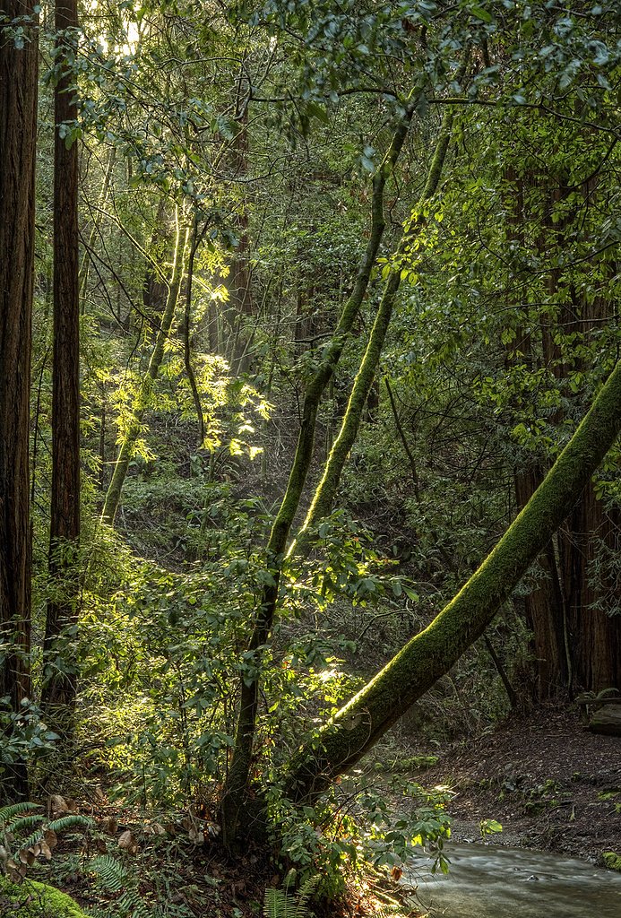 Kent Falls waterfall
