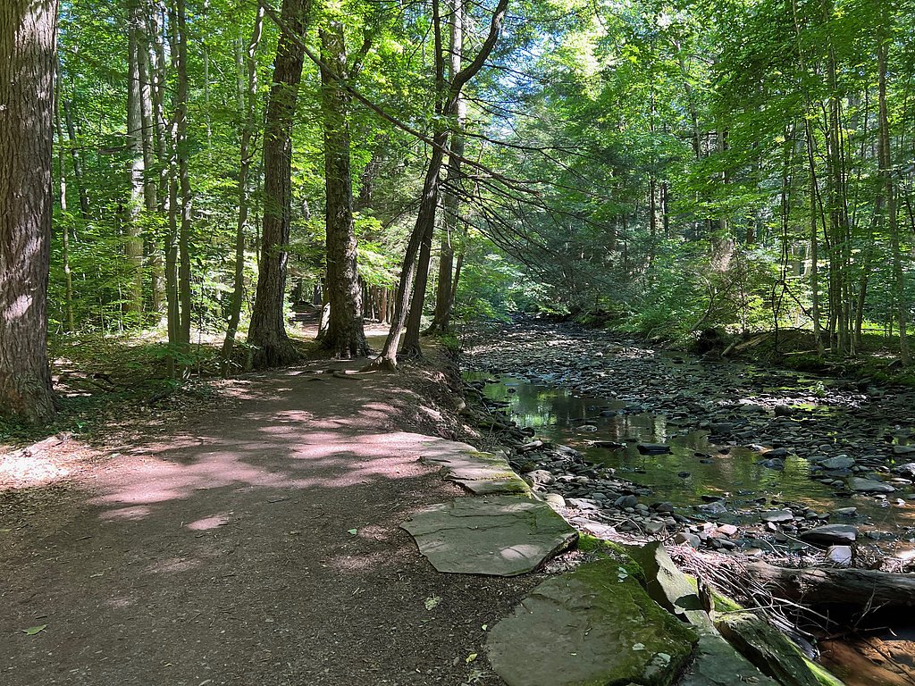 Kitchen Creek Falls waterfall