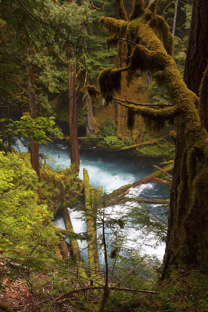 Koosah Falls waterfall