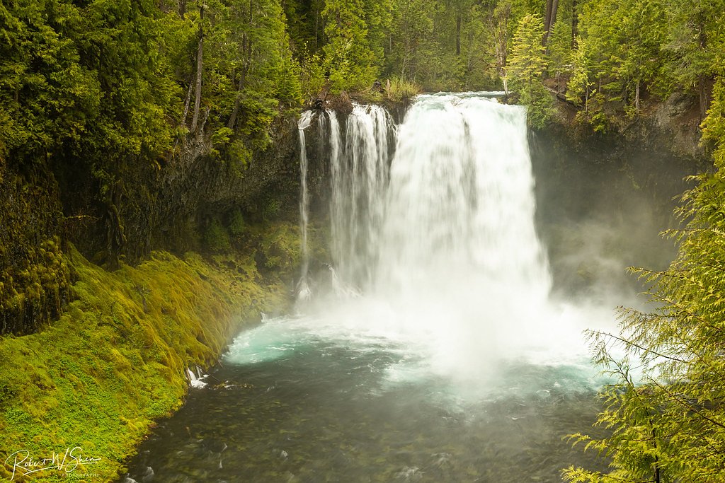 Koosah Falls waterfall