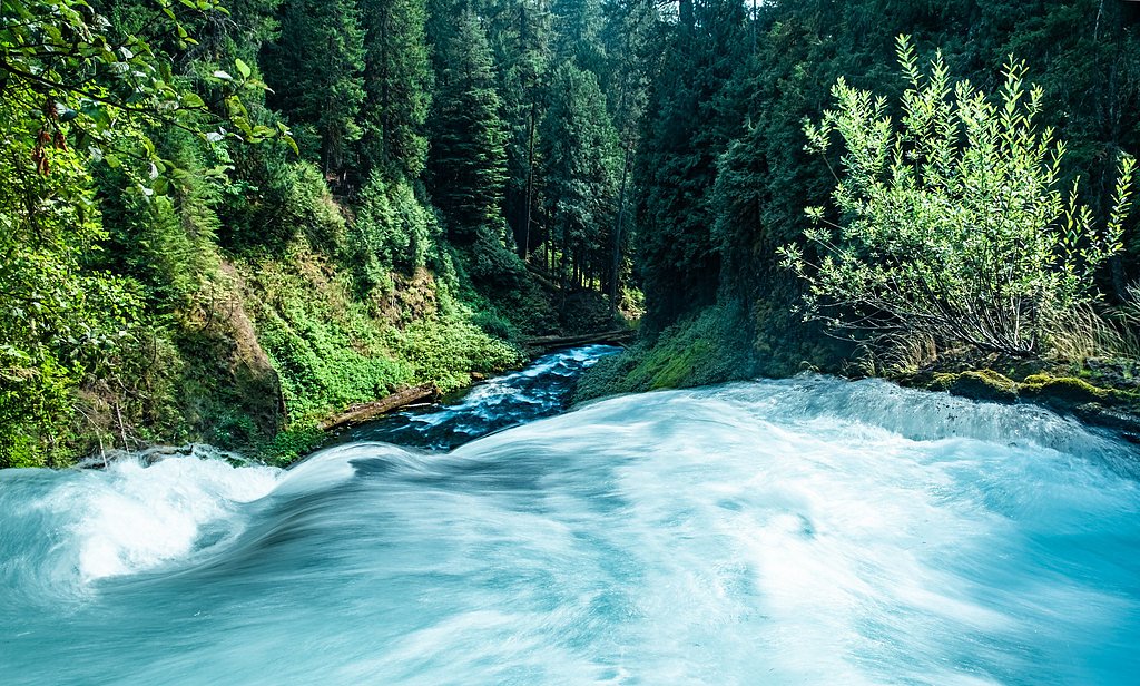 Koosah Falls waterfall
