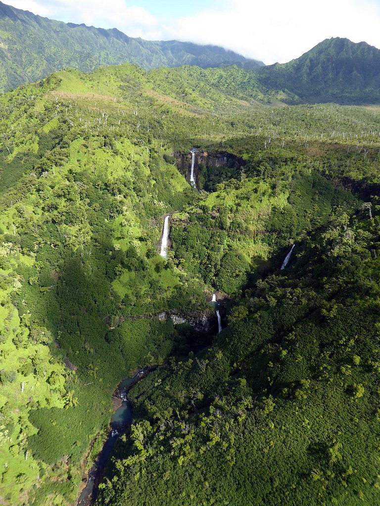 Kāhili Falls waterfall