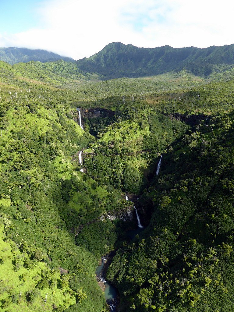 Kāhili Falls waterfall