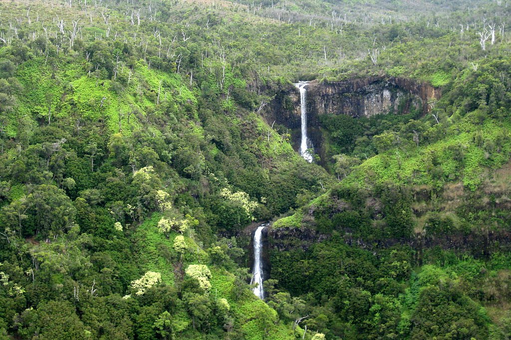 Kāhili Falls waterfall