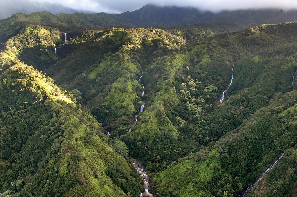 Kāhili Falls waterfall