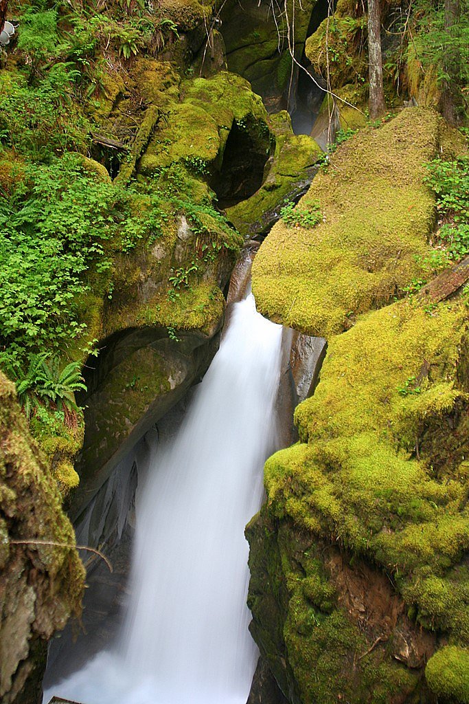 Ladder Creek Falls waterfall